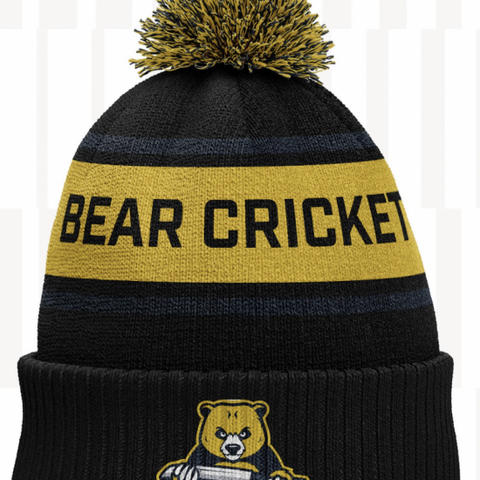 Bear Bobble Hat